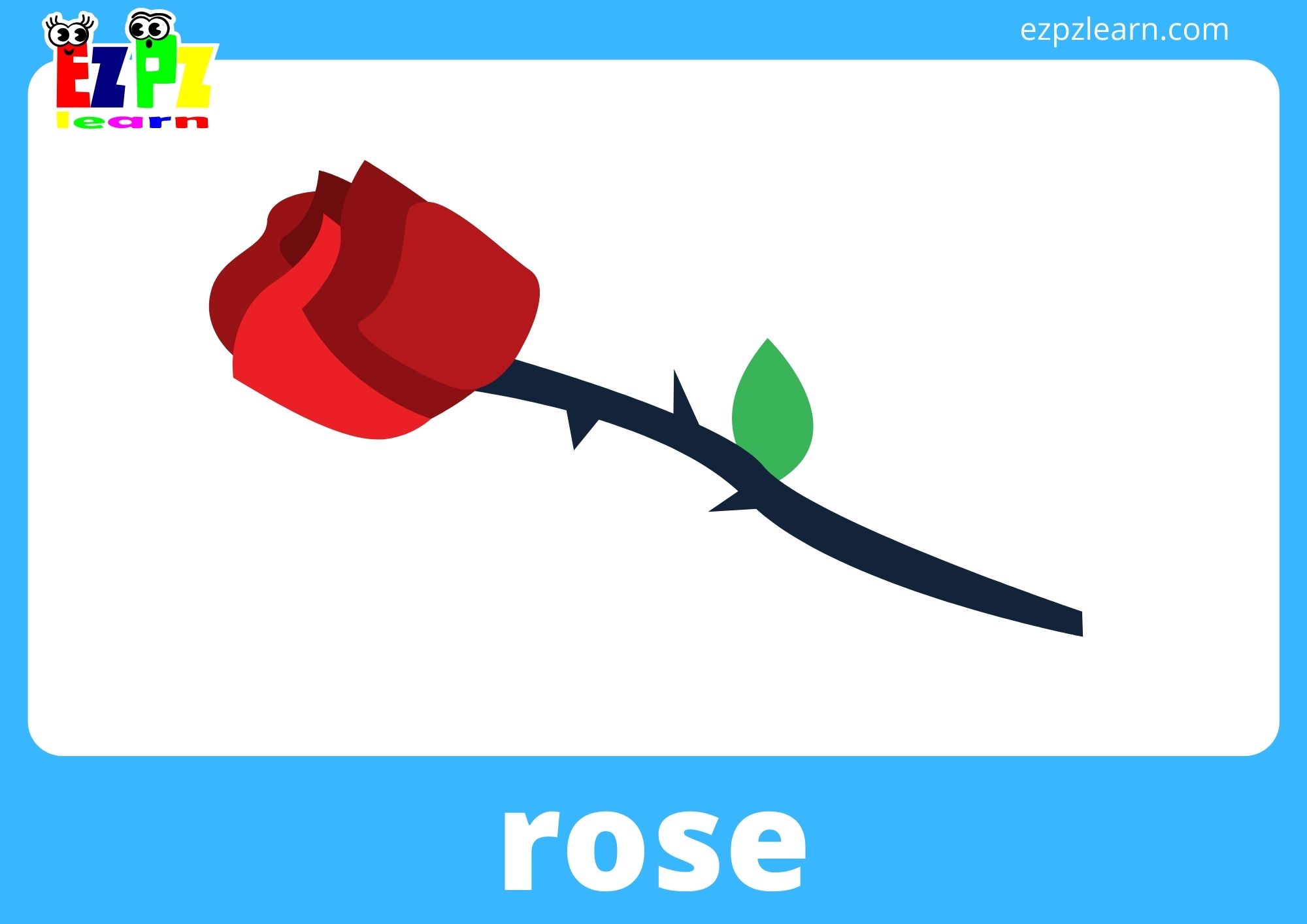 rose